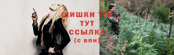 прущие грибы Балахна