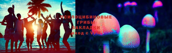 прущие грибы Балахна