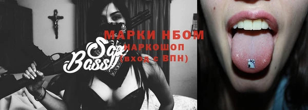 прущие грибы Балахна