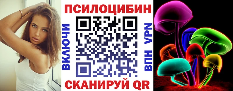 Галлюциногенные грибы GOLDEN TEACHER Купить где Сусуман